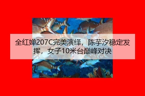 quan-hong-chan-wan-mei-yan-yi-chen-yu-xi-wen-ding-fa-hui-nv-zi-mi-tai-dian-feng-dui-jue-3-222.jpg